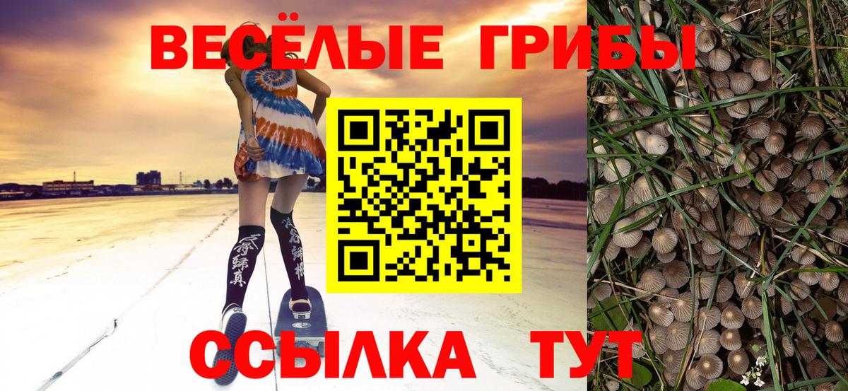 Хабаровск  Псилоцибиновые грибы мухоморы  Вход с VPN  Псилоцибиновые грибы мицелий 